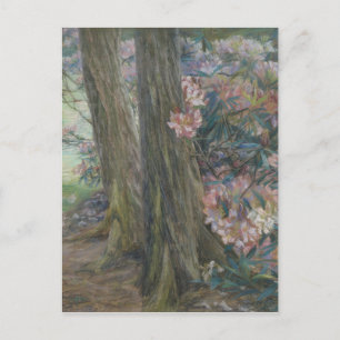 Clara Voortman Rhododendron Bush in a Garden Postcard