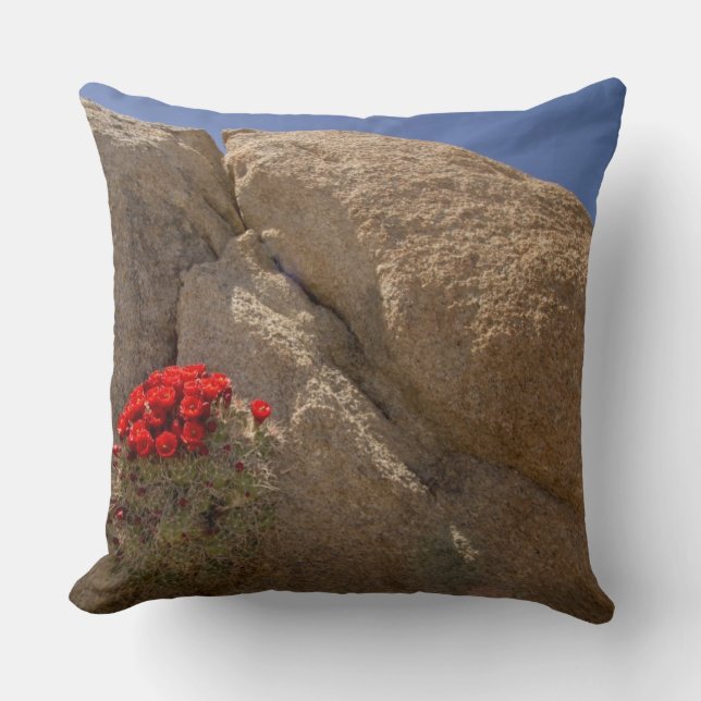 Claret cup or Mojave mound cactus in bloom Throw Pillow (Front)