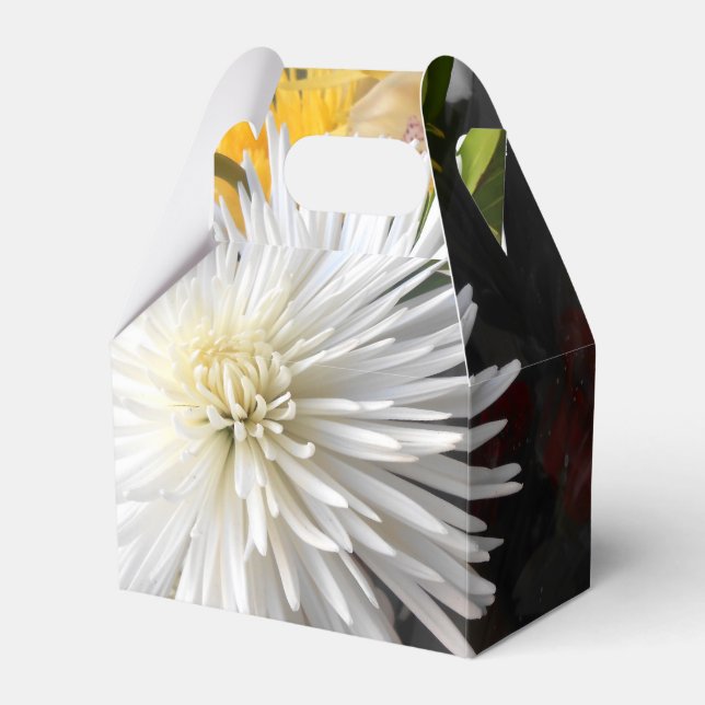 Clarica Favor Box (Front Side)