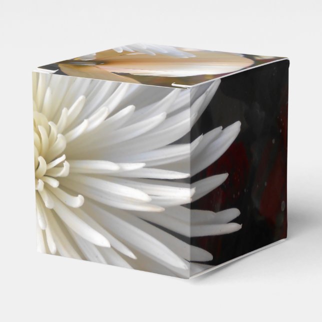 Claricia Favor Box (Front Side)