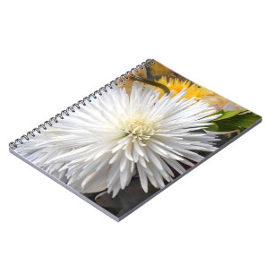 Claricia Notebook