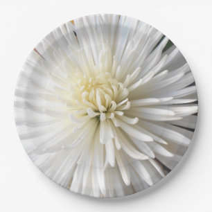 Claricia Paper Plate