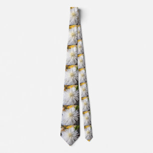 Claricia Tie