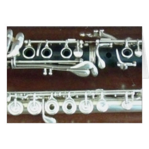 Clarinet and Flute Duo