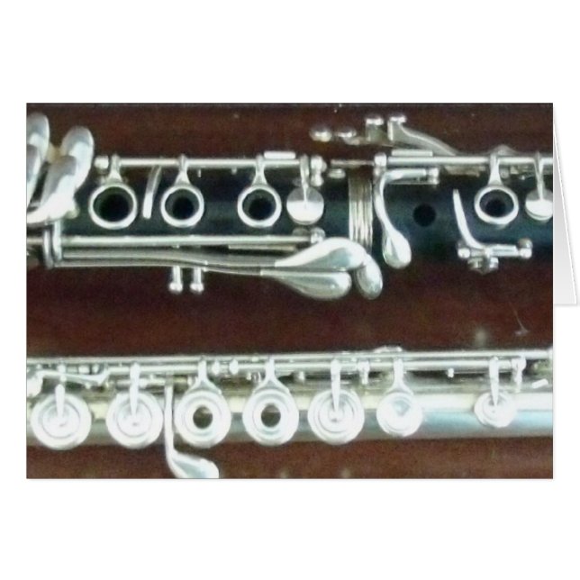Clarinet and Flute Duo (Front Horizontal)