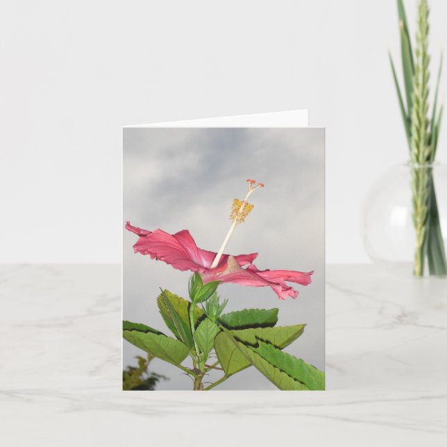 Clarion v2 card (Front)