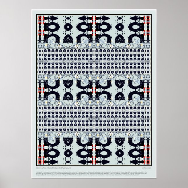 Clarity is a Piece of Static Poster (Front)