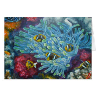 clarks clownfish with anemone