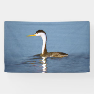 Clark's Grebe Painting - Original Bird Art Banner