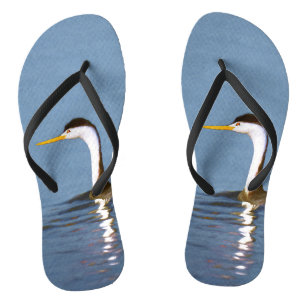 Clark's Grebe Painting - Original Bird Art Flip Flops