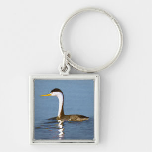 Clark's Grebe Painting - Original Bird Art Keychain