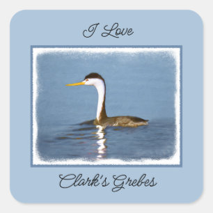 Clark's Grebe Painting - Original Bird Art Square Sticker