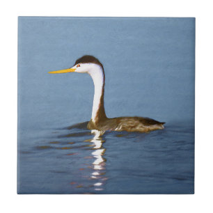 Clark's Grebe Painting - Original Bird Art Tile