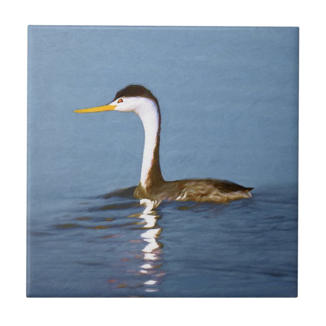 Clark's Grebe Painting - Original Bird Art Tile (Front)