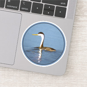 Clark's Grebe Painting - Original Wild Bird Art