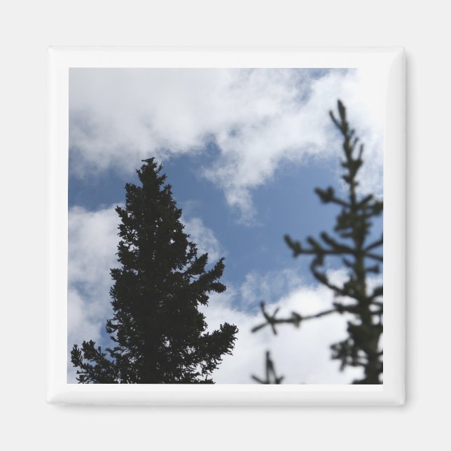 Clark's Nutcracker 2 x 2 magnet (Front)