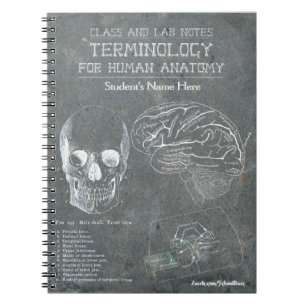 Class and Lab Notes - Terminology (Personalized) Notebook