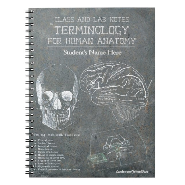 Class and Lab Notes - Terminology (Personalized) Notebook (Front)