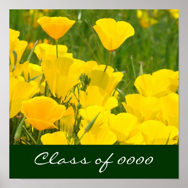 Class of 0000 poster prints School Poppy Flowers (Front)