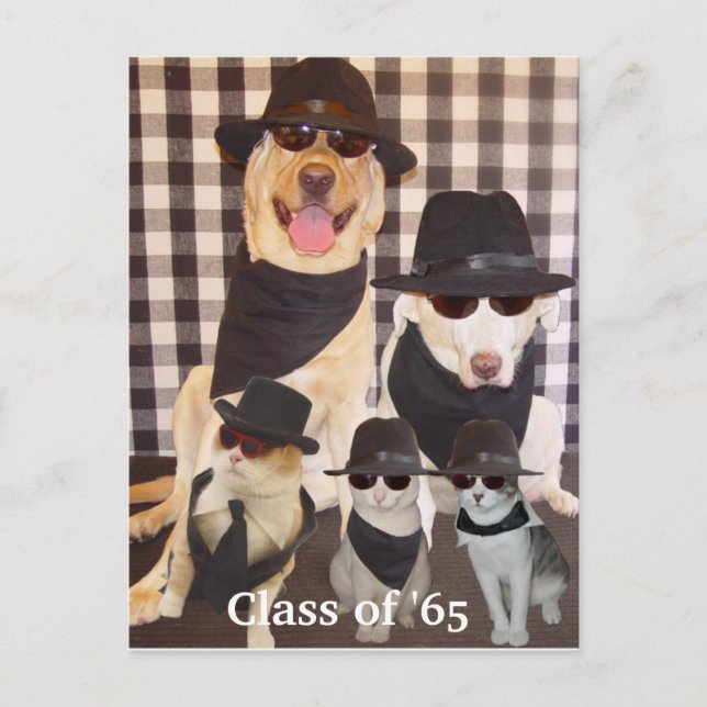 Class Reunion Invitation Postcard (Front)