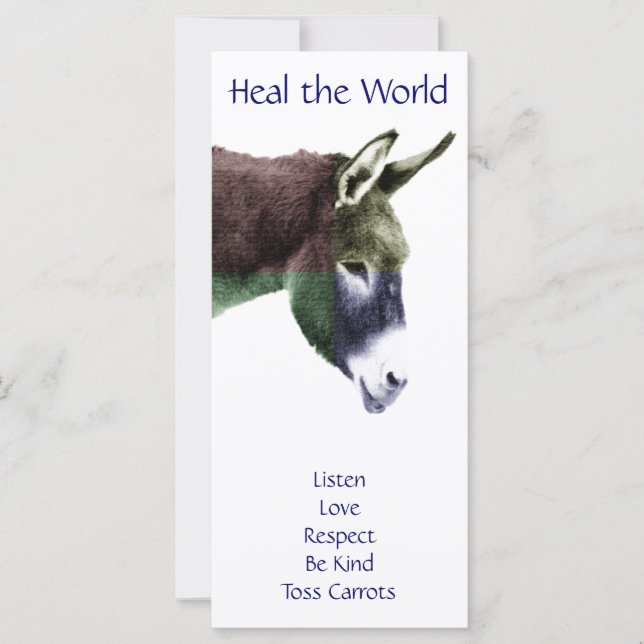 Class Rules Burro Make the World a Better Place (Front)