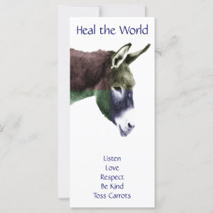 Class Rules Burro Make the World a Better Place