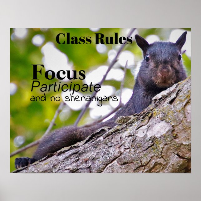 Class Rules Poster (Front)