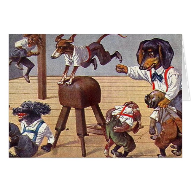 Classe de gymnase pour des chiens (Devant horizontal)