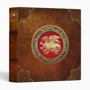 Classeur [100] Dragon islandais, Landvæ ttir [Or]