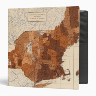 Classeur 107 Influenza NY, New England