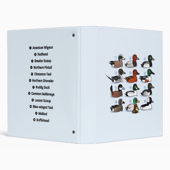 Classeur 12 canards avec la clé (Arrière-plan)