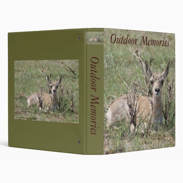 Classeur A7 Bébé Antilope Pronghorn (Arrière-plan)