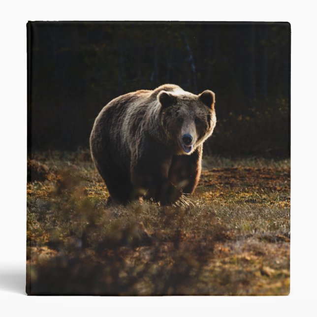 Classeur à anneau de l'ours 3 (Devant)