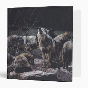 Classeur à anneaux Wolf Pack 3