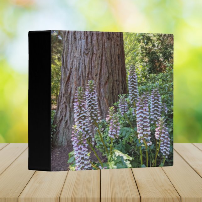 Classeur Acanthus/Bear's Breeches Floral (In Situ Office)