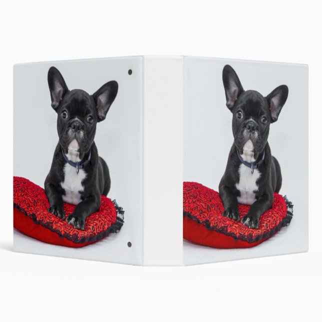 Classeur Adorable Black and White Bulldog Puppy Photo (Arrière-plan)