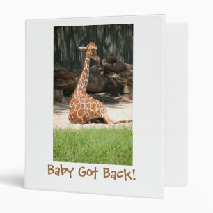 Classeur adorable Giraffe assise