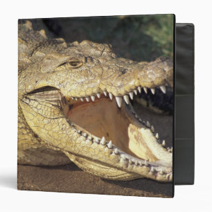 Classeur Afrique, Afrique du Sud crocodile du Nil
