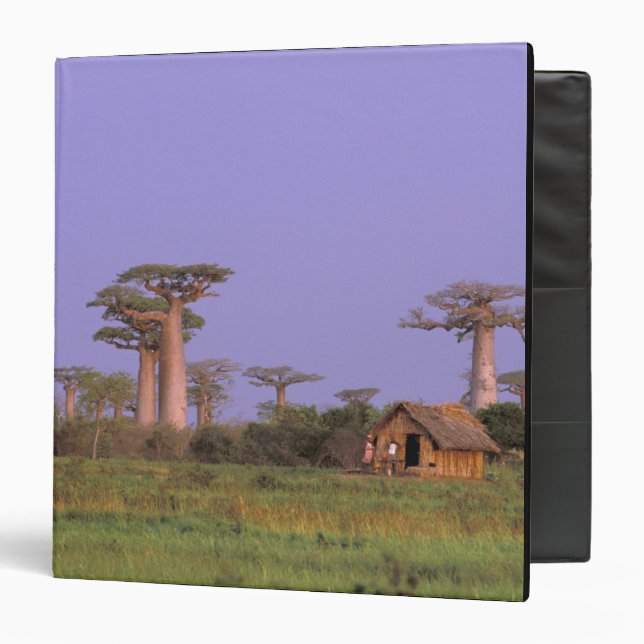Classeur Afrique, Madagascar, Morondava. Baobabs (Devant/Intérieur)
