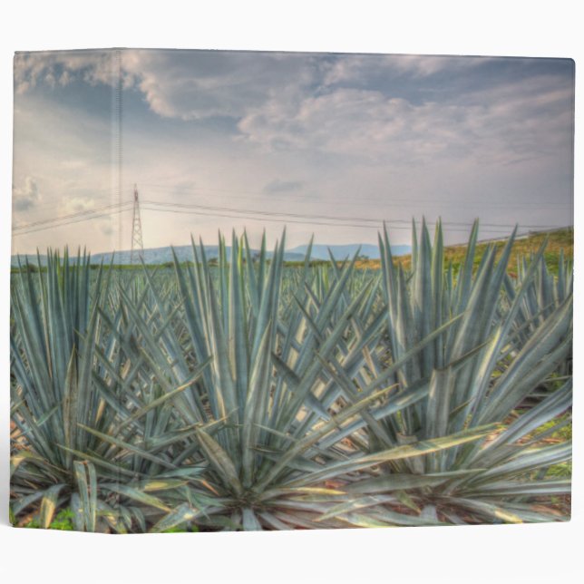 Classeur Agave bleu (Devant/Côté)