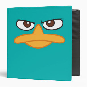 Classeur Agent P
