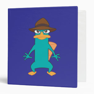 Classeur Agent P Pose