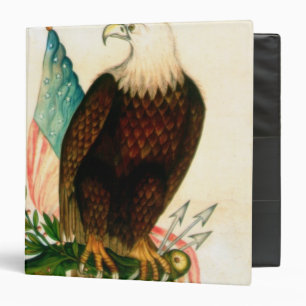 Classeur Aigle chauve avec le drapeau