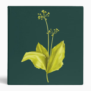 Classeur Ail des ours Plante verte Amateur de la nature Bot