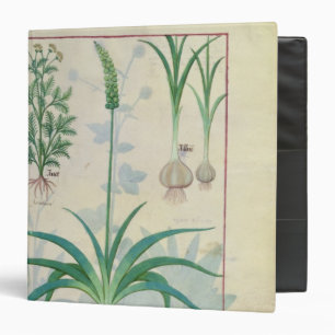 Classeur Ail et d'autres plantes