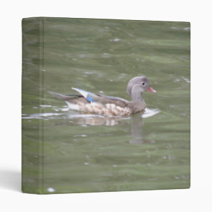 Classeur Album de photos de canard sur le lac