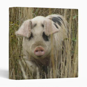 Classeur Album photo de cochon mignon