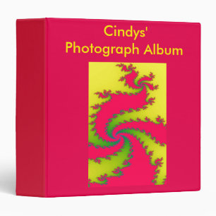 Classeur Album photo de dragon factice de Nouvel An chinois
