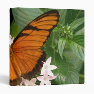 Classeur Album photo Orange Julia Butterfly