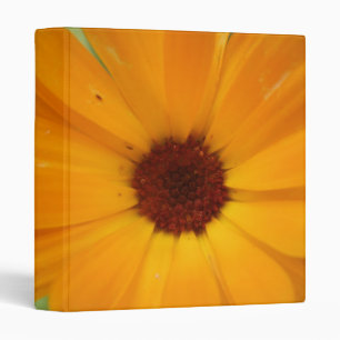 Classeur Album photo Orange Rain Daisy